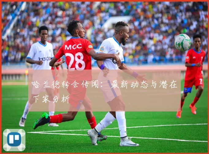 哈兰德转会传闻:最新动态与潜在下家分析